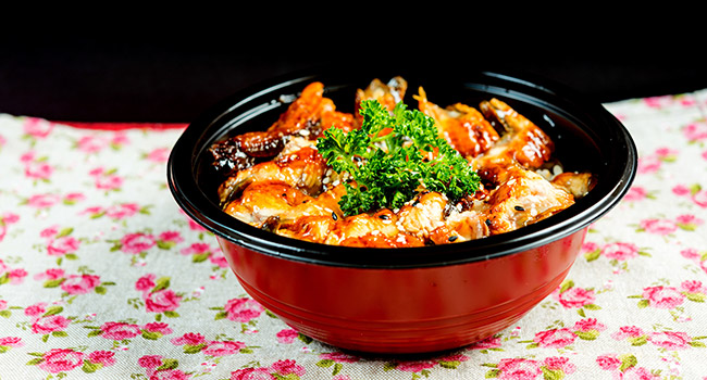 Donburi Schale