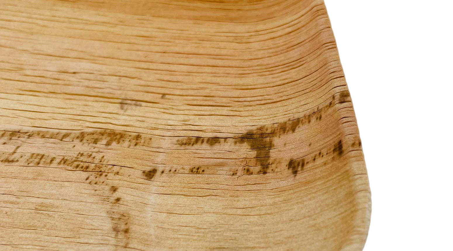 Palmblatt Teller, quadratisch, 200 x 200 x 10 mm