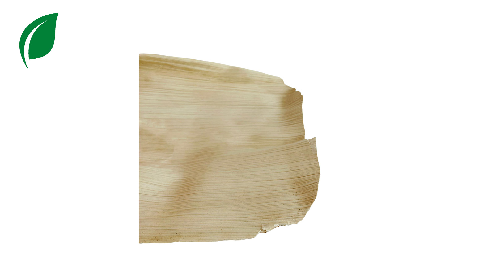 Palmblatt Platte 500 x 300 mm