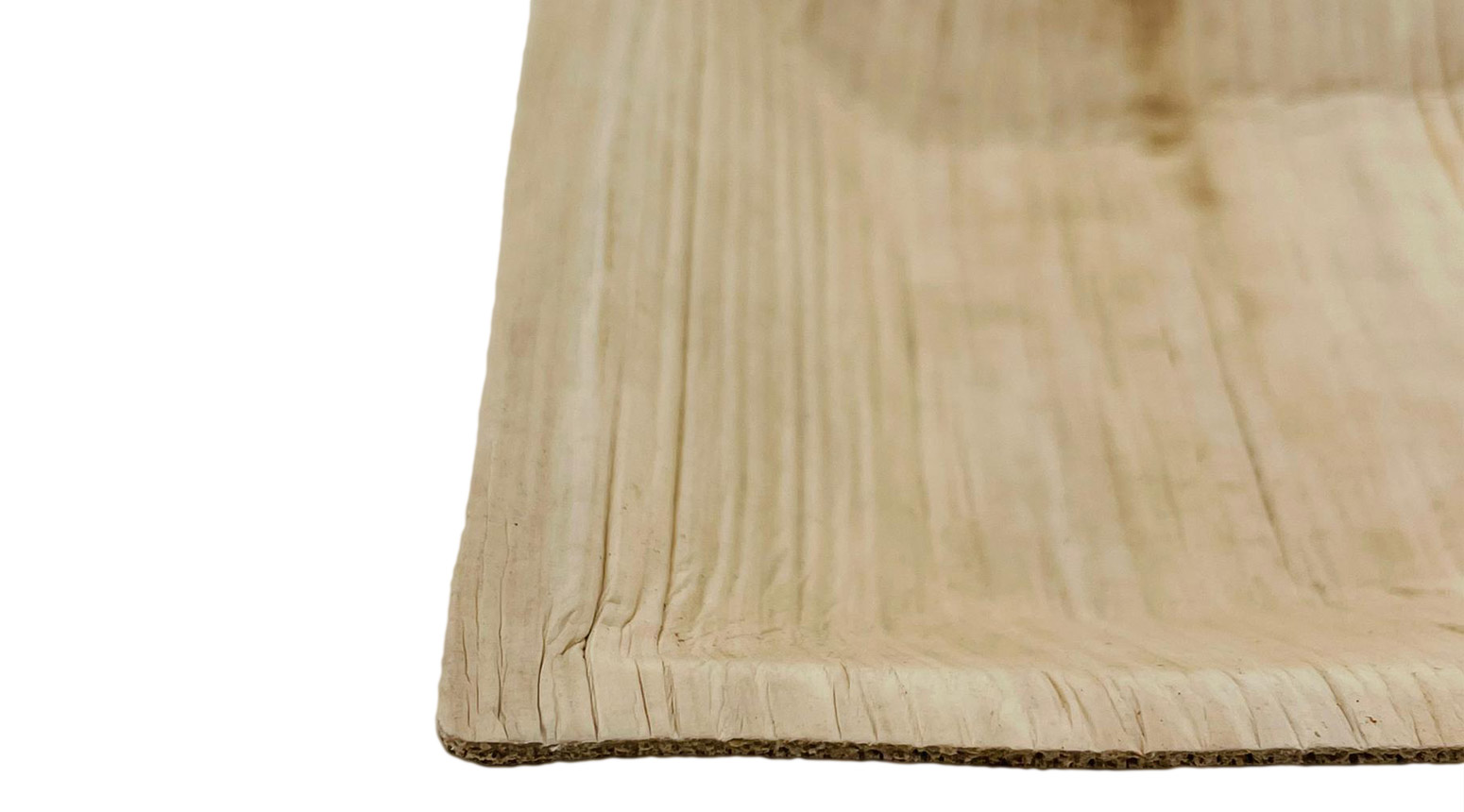 Palmblatt Teller, rechteckig, 170 x 120 x 25 mm