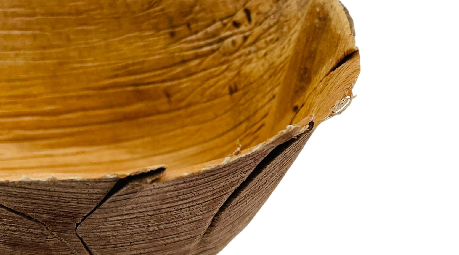 Palmblatt Bowl, oval, 220 x 125 x 70 mm