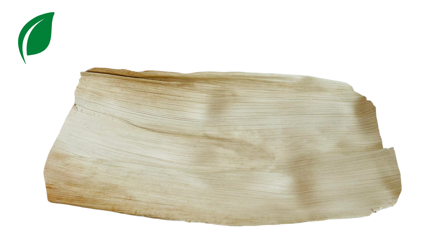 Palmblatt Platte 500 x 300 mm